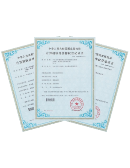 计算机软件著作权登记证书界面